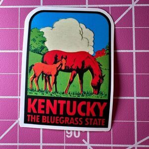 💜13/$13 +Bundle Sticker Sale | Travel Kentucky Waterproof Sticker